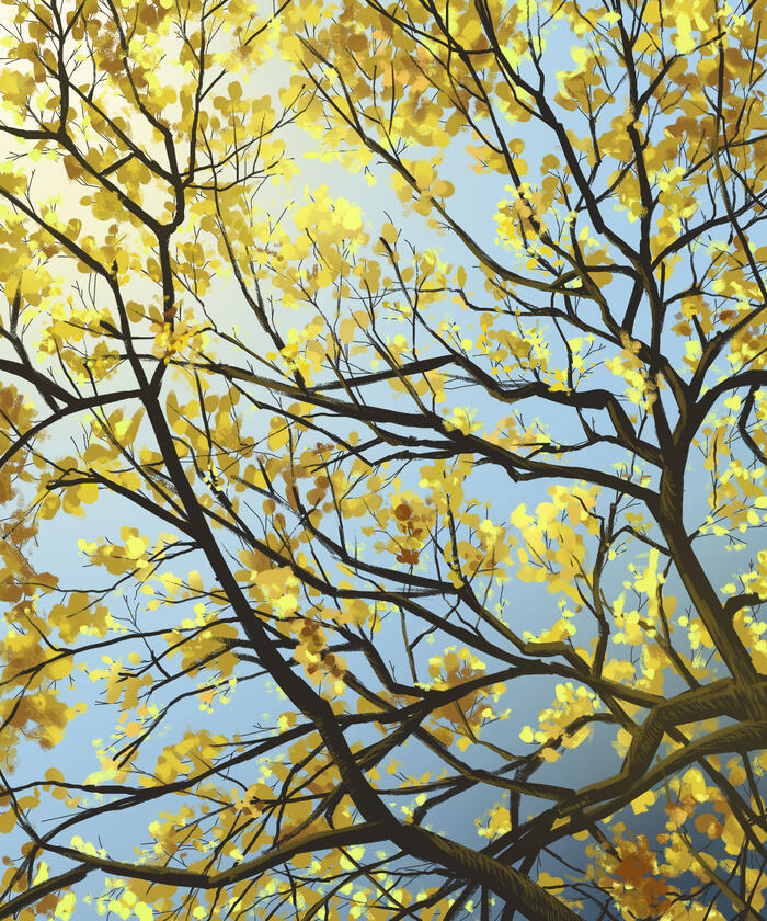Trees (2021)